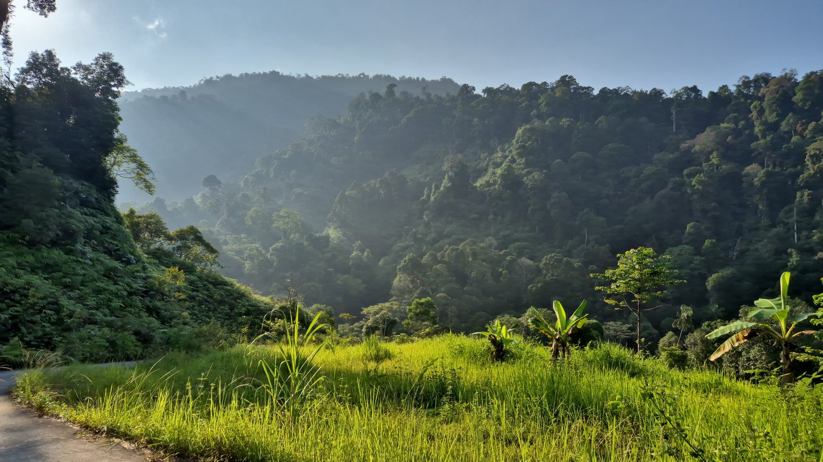 Quiet morning near Bendungan Unand